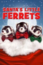 Santa’s Little Ferrets