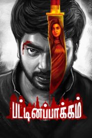 Pattinapakkam